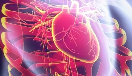 الصفحة الرئيسية 5 ارتخاء الصمام الميترالي في البالغين