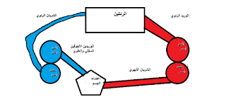 تبادل منشأ الشرايين الكبيرة عند الاطفال 3 تبادل منشأ الشرايين الكبيرة عند الاطفال