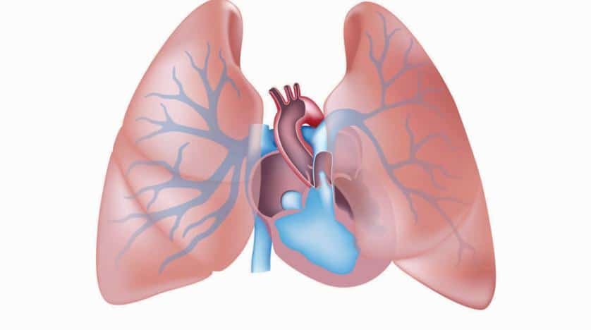ارتفاع ضغط الشريان الرئوي عند الأطفال