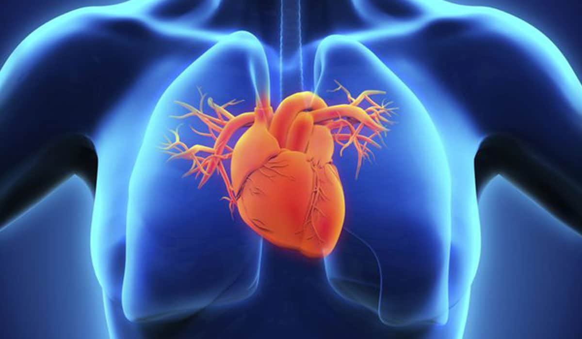 تشخيص ثقب القلب