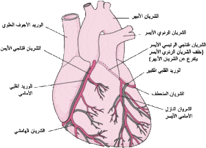 شذوذات خلقية في الشرايين التاجية