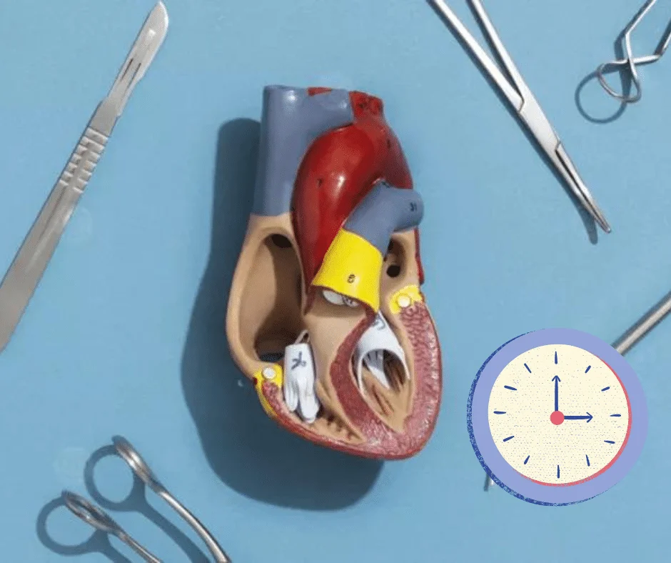 عملية القلب المفتوح كم تستغرق