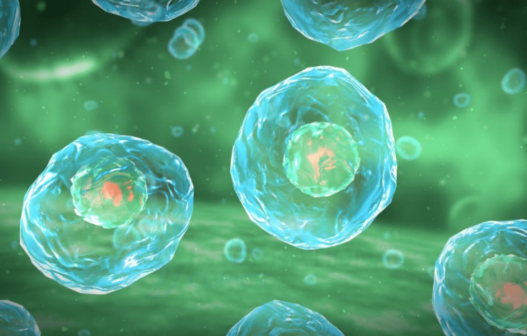 الخلايا الجذعية الجنينية