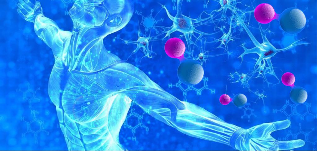 الخلايا الجذعية المستحثة متعددة القدرة (iPS)
